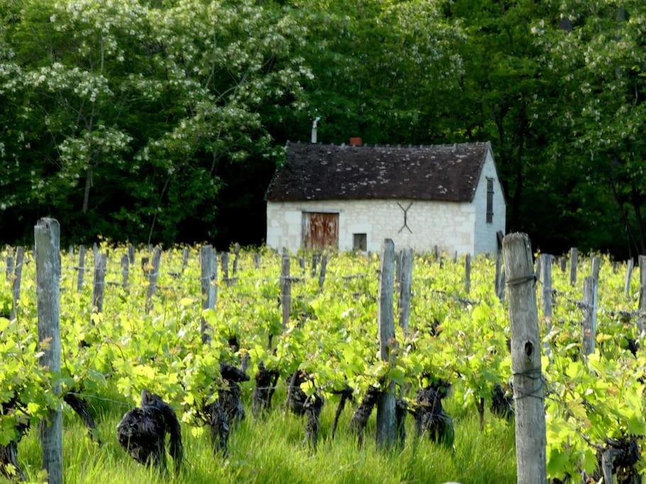 Maison De Bourg Paisible Parcay-sur-Vienne Екстериор снимка
